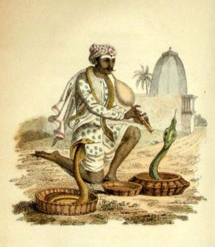 The Snake Charmer: A Reclamation of Exoticised Colonial India